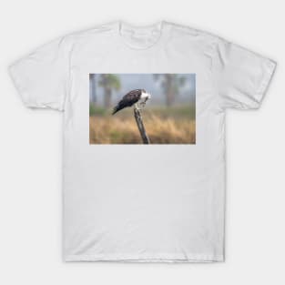 Osprey Scratching the Itch T-Shirt